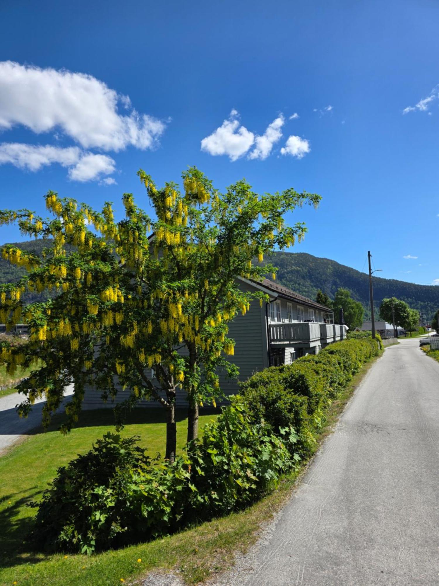 Rom Sentralt I Sogndal Hostel ภายนอก รูปภาพ